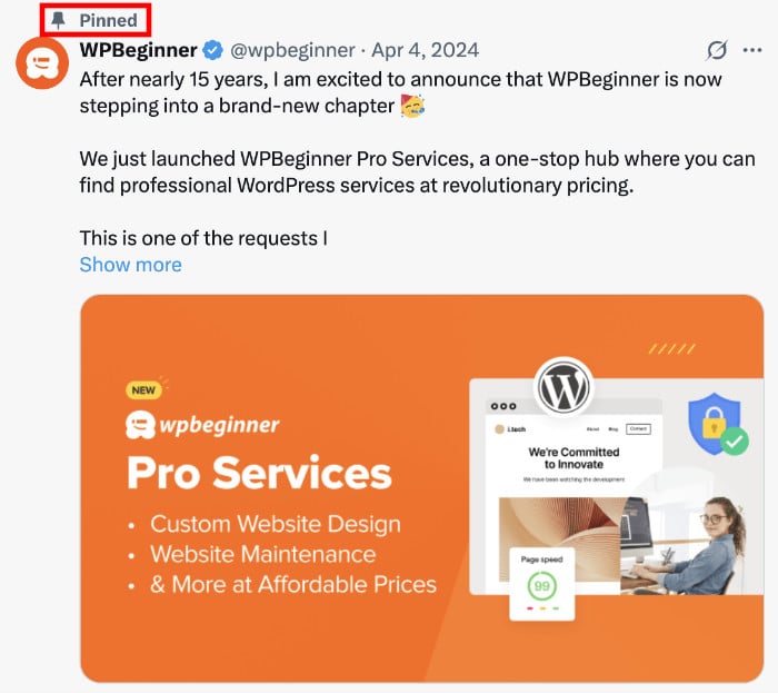 pinned tweet example post