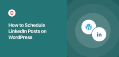 cómo programar automáticamente las publicaciones de linkedin en wordpress