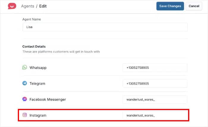 introduza as informações do Instagram para conectar o seu site