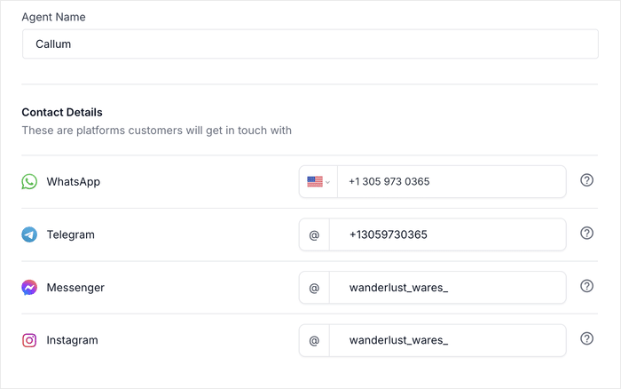 connected social media chat options to agent