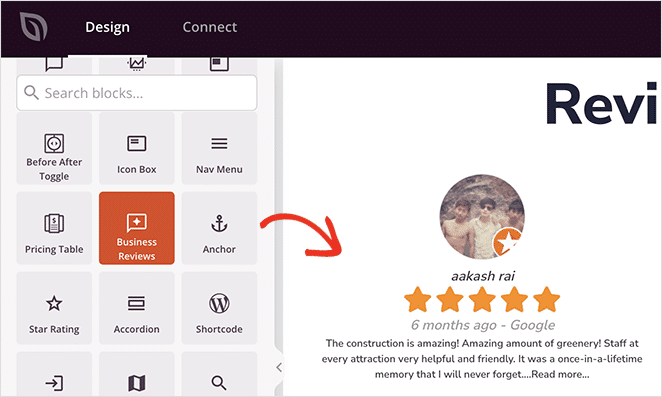 example of business review blocks in seedprod