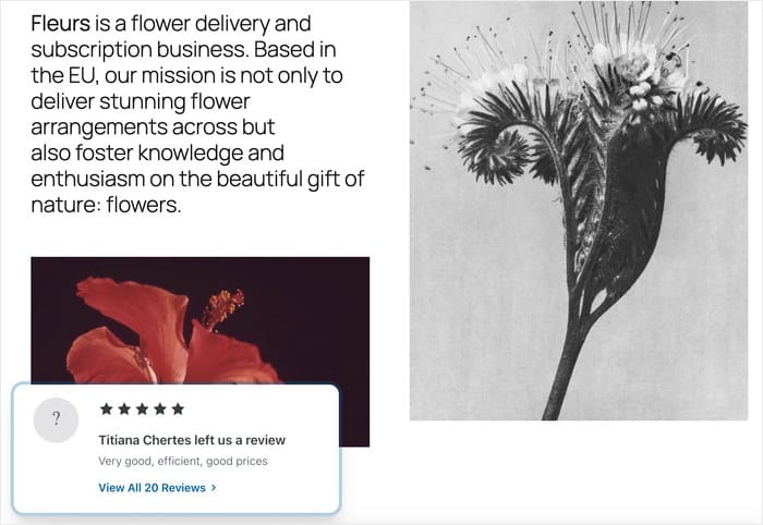 example of a review popup created with reviews feed pro