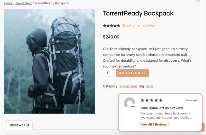 Beispiel für eine Bewertung auf einer WooCommerce-Seite