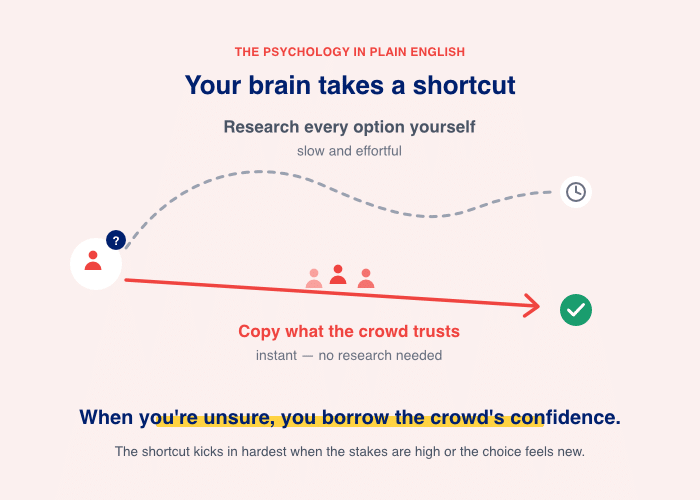 infographic showing the psychology behind social proof - Smash Balloon infographic showing the psychology behind social proof