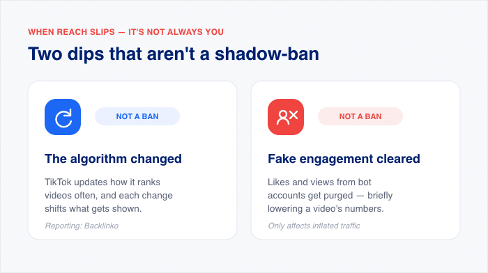 Gründe, warum deine TikTok-Aufrufe zurückgehen können
