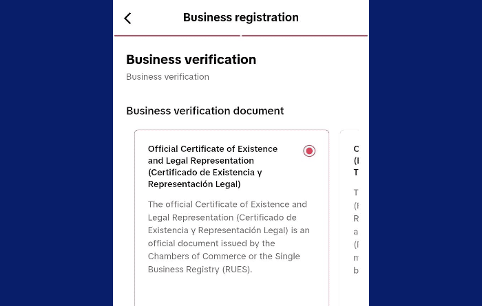 process of business registration for tiktok - Smash Balloon Proceso de registro de una empresa en TikTok