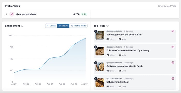 instagram feed analytics showing a bakery's view chart
