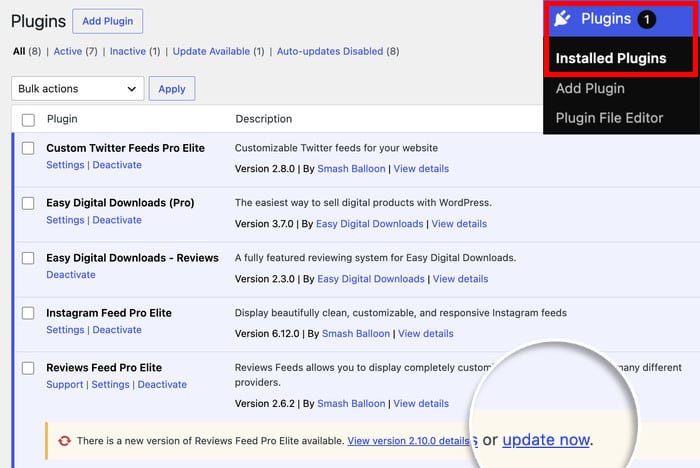 update the reviews feed pro plugin to enable rich snippet schema