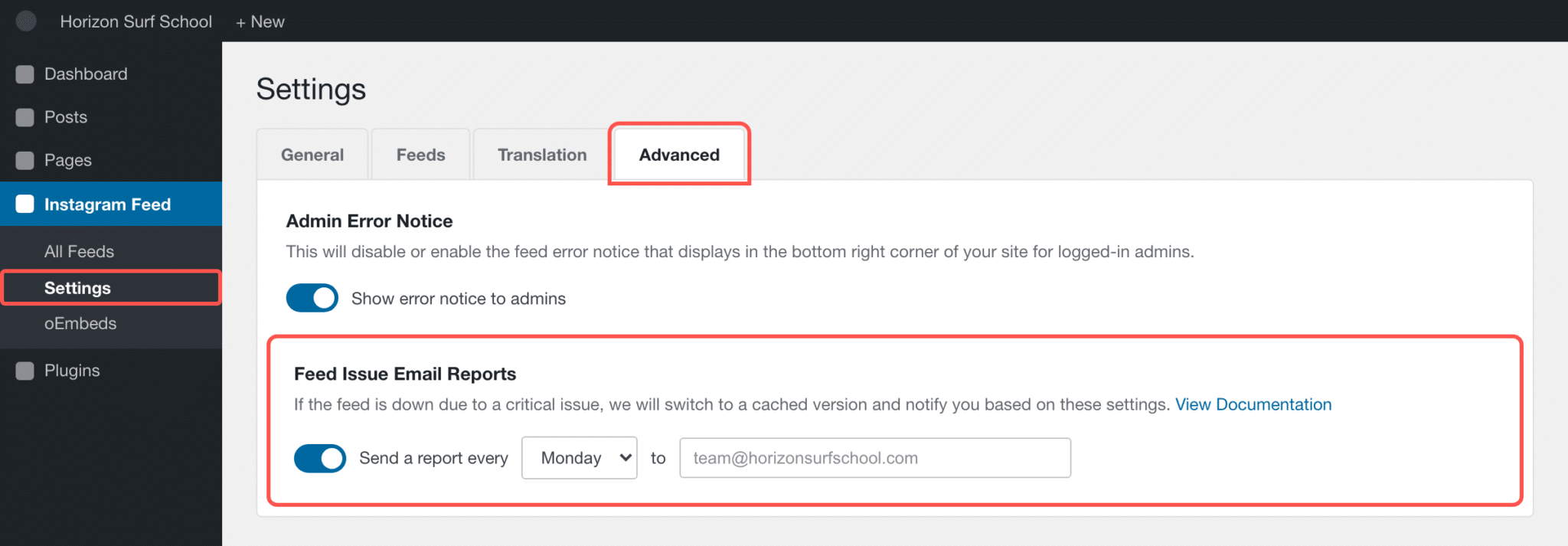 Instagram Feed Settings screen with the Advanced tab and the Feed Issue Email Reports box highlighted
